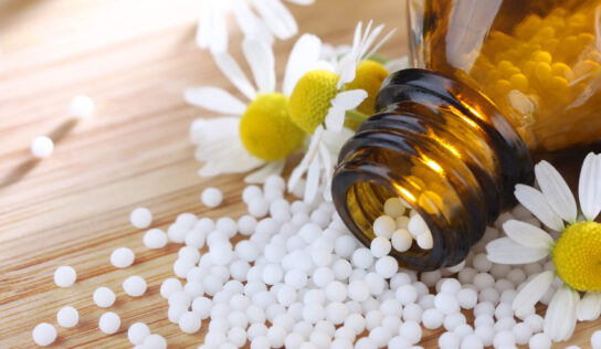 Heilpflanzen in der Europäischen Naturheilkunde