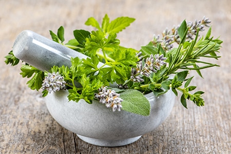 Naturmedizin mit gesunden Kräutern