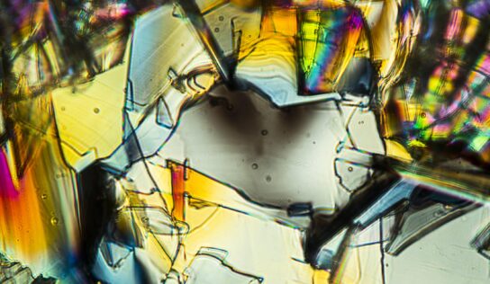 Was ist Phenylalanin?
